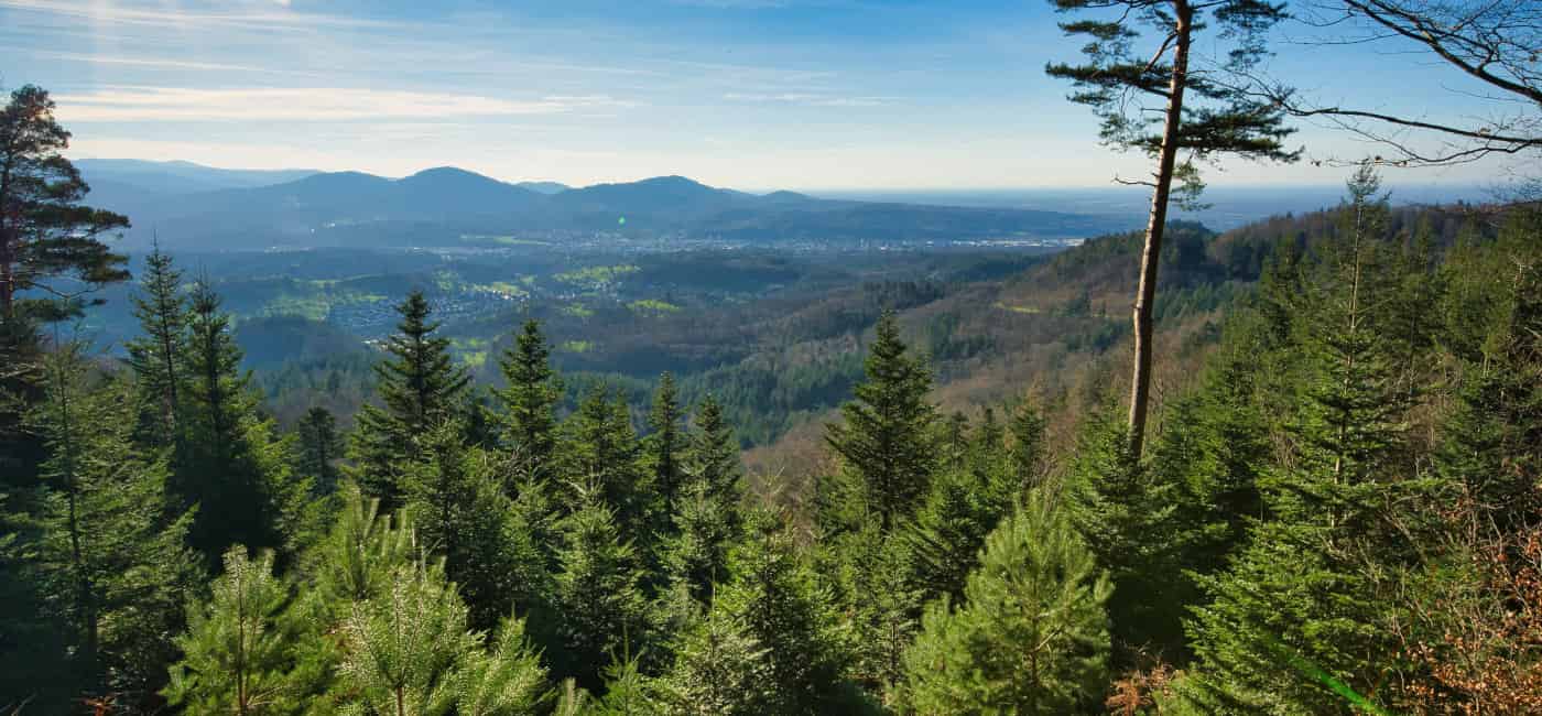 Hotelgutschein Schwarzwald