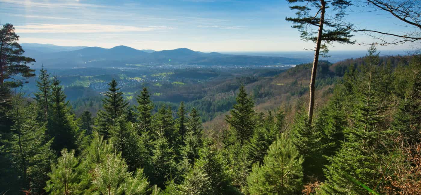 Schwarzwald