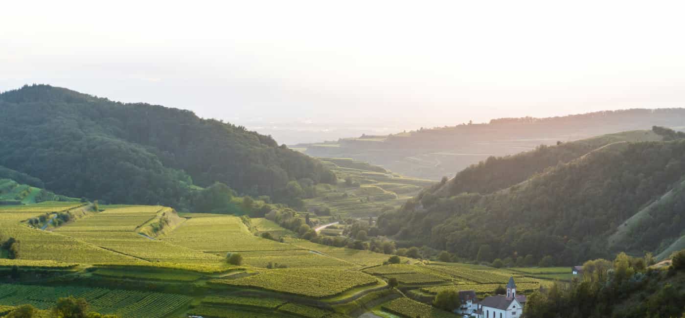 Kaiserstuhl