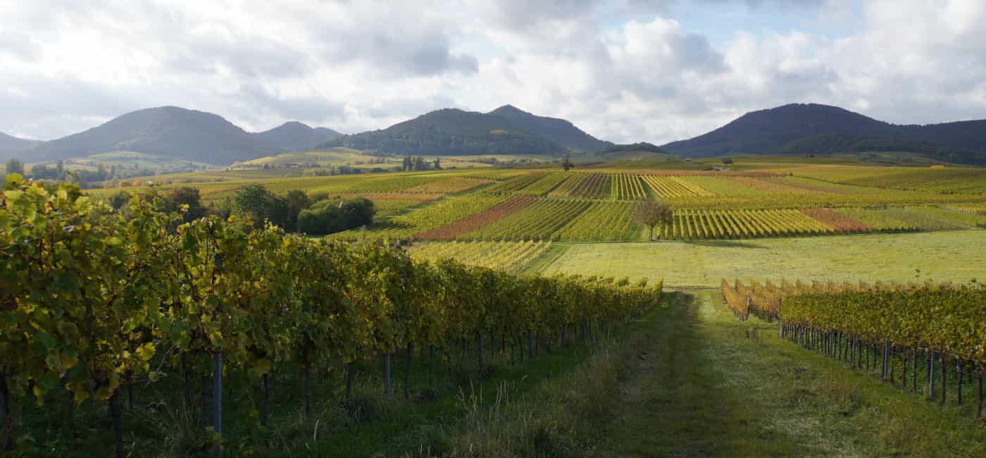 Pfalz