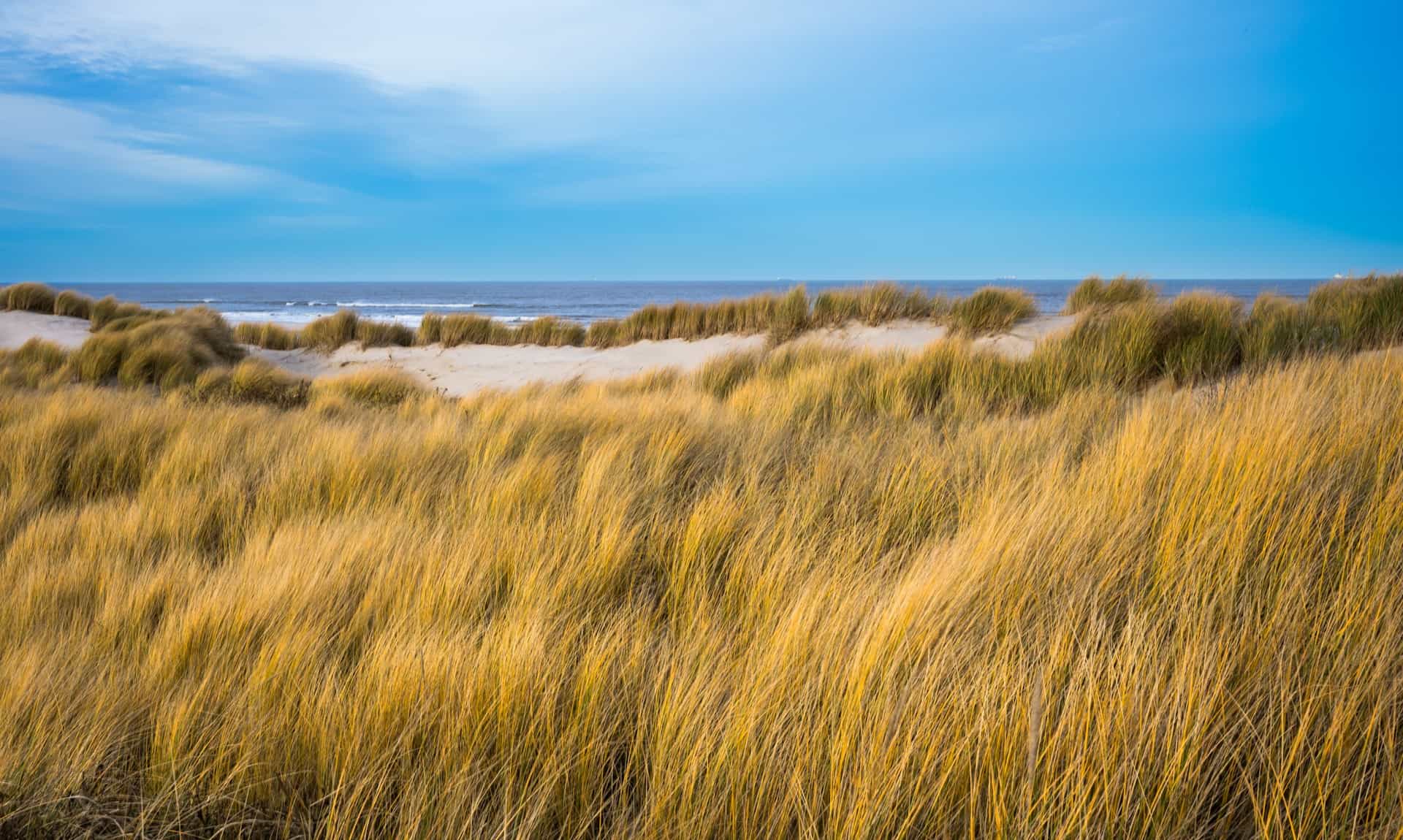 Wangerooge