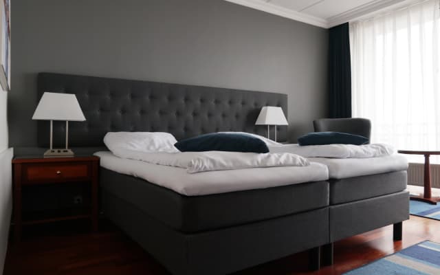 Hotel Marselis