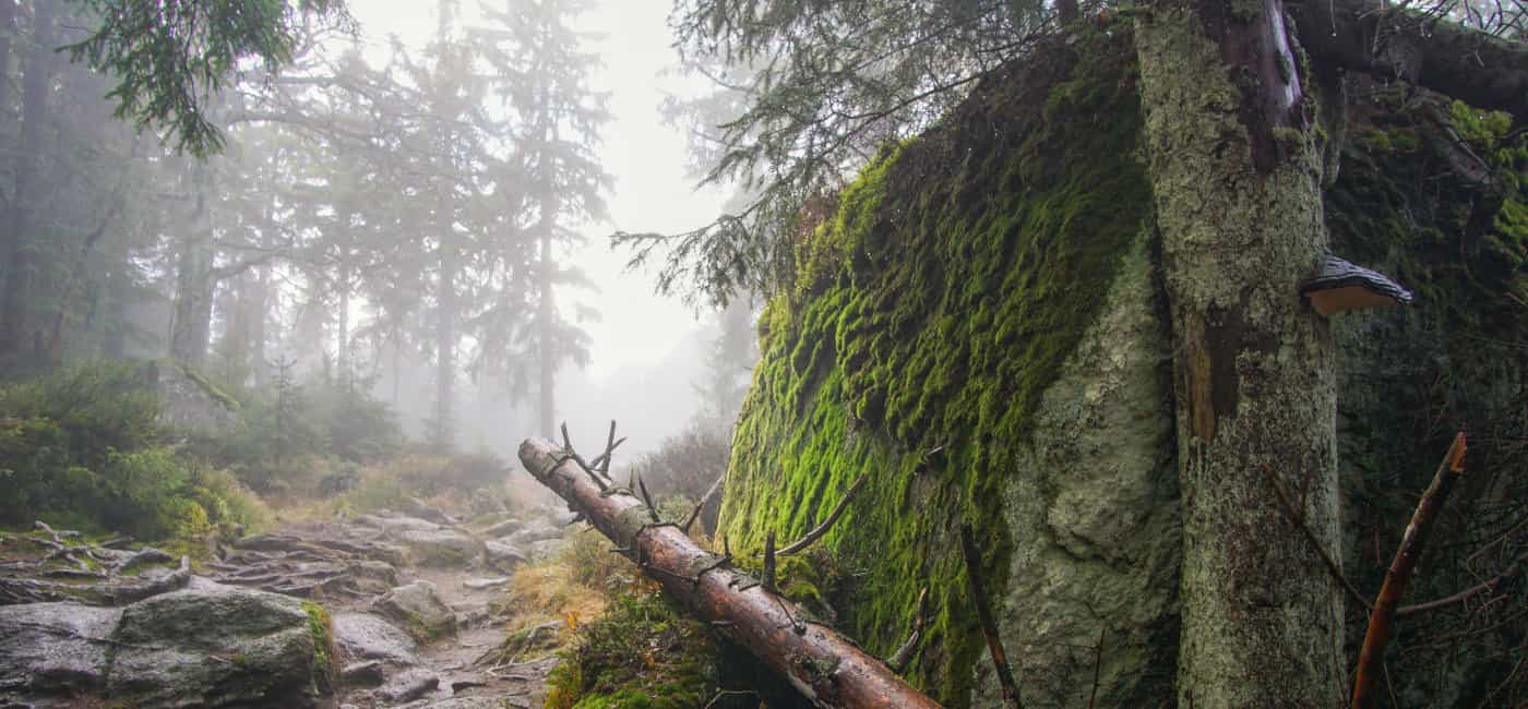 Fichtelgebirge