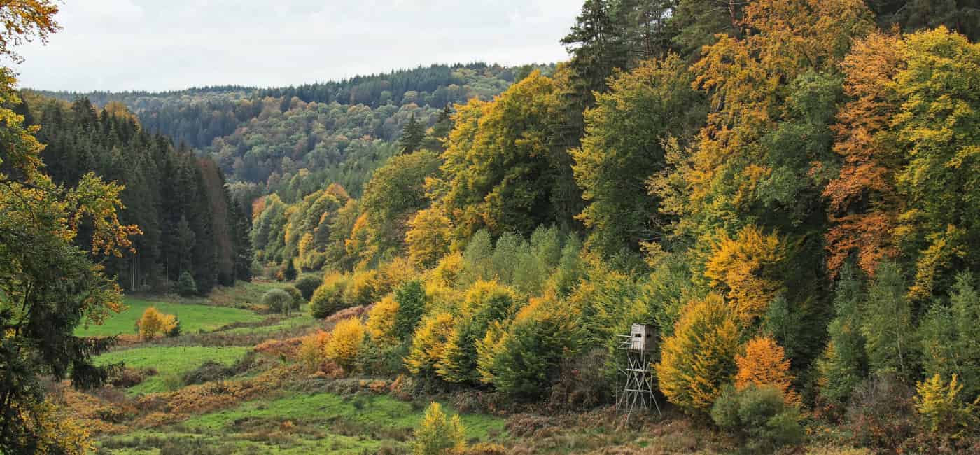 Hotelgutschein Spessart