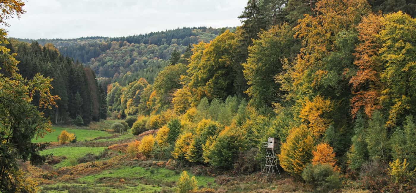 Spessart