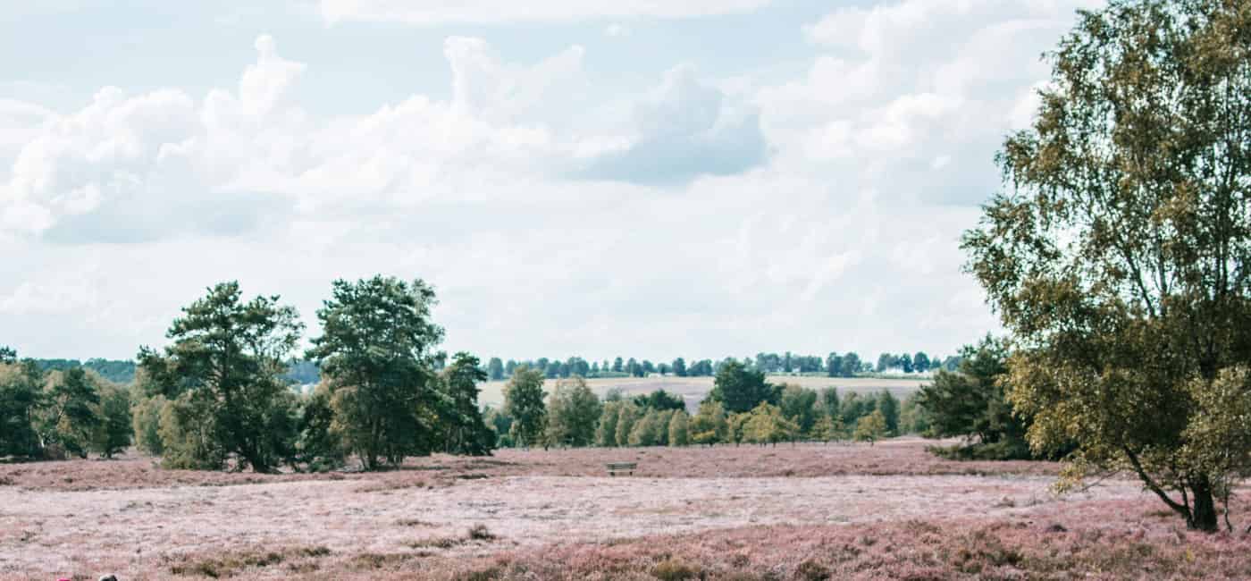 Hotelgutschein Lüneburger Heide
