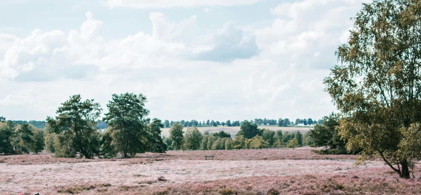 Lüneburger Heide