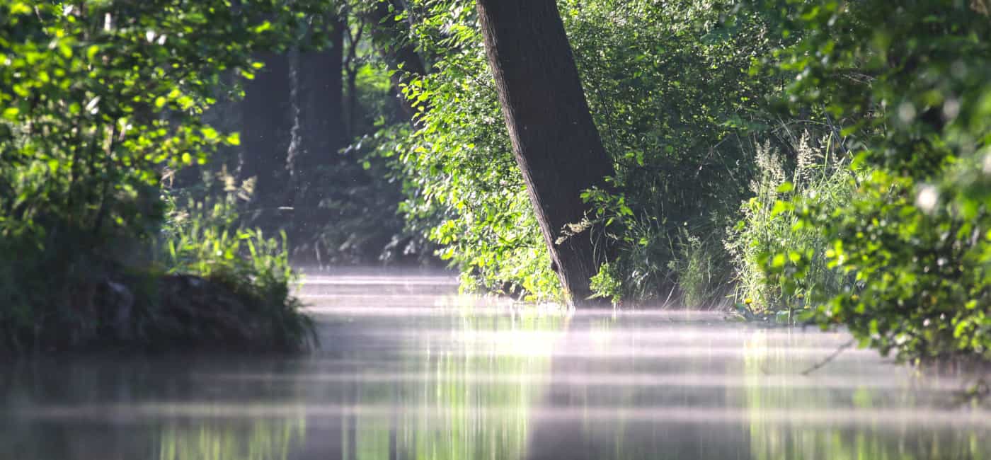 Spreewald
