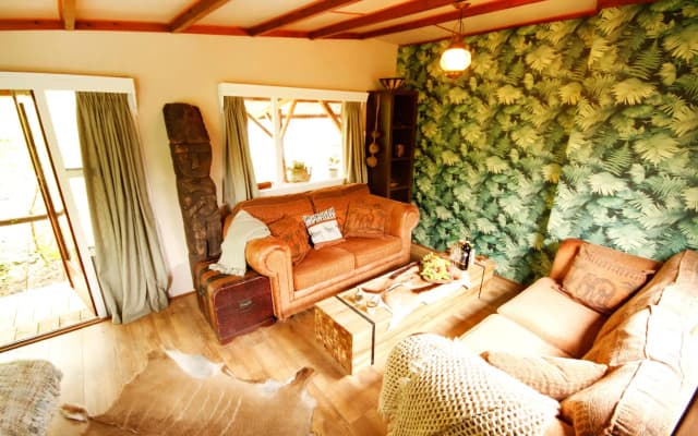 Bamboo lodge Groningen